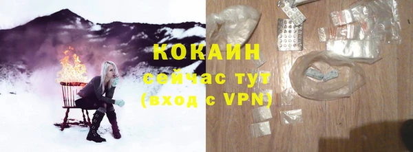 ешки Пересвет