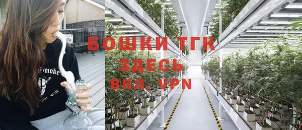 ПСИЛОЦИБИНОВЫЕ ГРИБЫ Нея