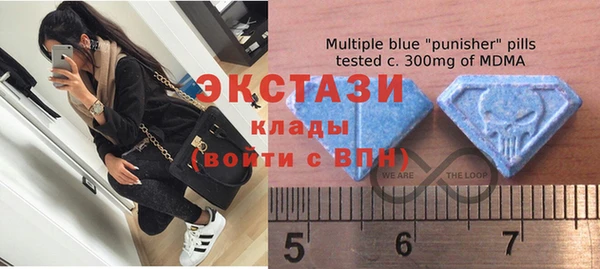 ешки Пересвет